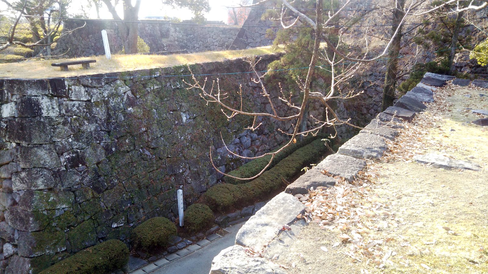 八代城跡の石垣と堀